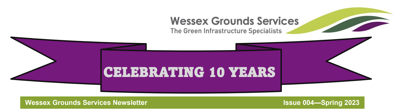 Celebrating 10 years in business banner WGS