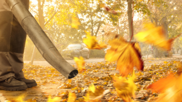 Autumn grounds maintenance Dorset – professional leaf clearance by Wessex Grounds Services